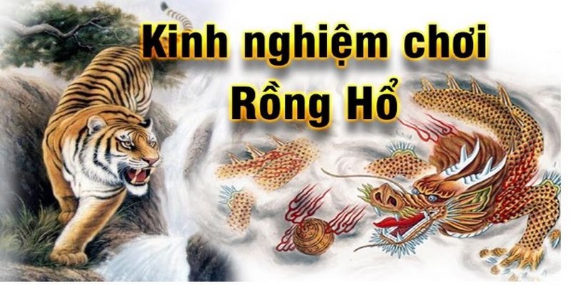 Những mẹo chơi Rồng Hổ bất bại ai cũng cần biết