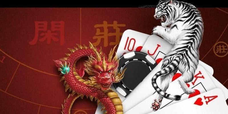 Hướng dẫn cách tham gia game Rồng Hổ online tại Net88